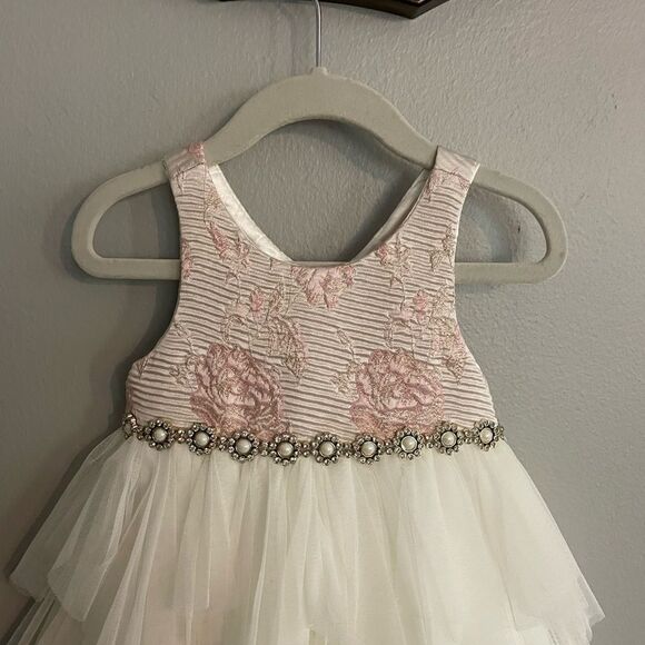 NWT American Princess White Pink Floral Tulle Baby Toddler Dress Size 24 Months - Picture 3 of 9